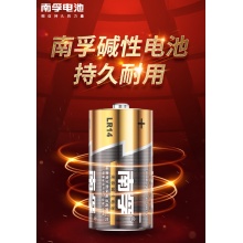 南孚2号电池